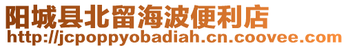 陽城縣北留海波便利店