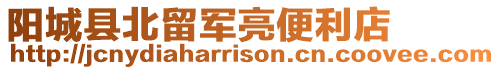 陽城縣北留軍亮便利店