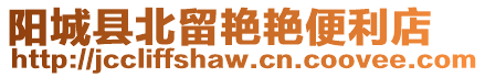 陽城縣北留艷艷便利店