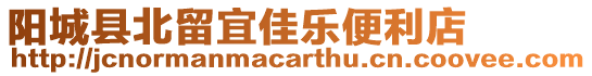 陽城縣北留宜佳樂便利店