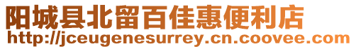 陽城縣北留百佳惠便利店
