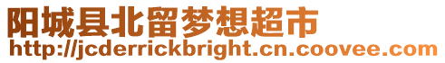 陽城縣北留夢想超市