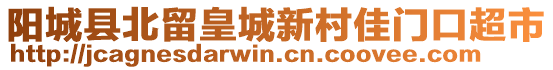 陽城縣北留皇城新村佳門口超市