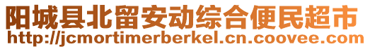 陽城縣北留安動綜合便民超市