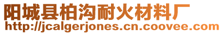 陽(yáng)城縣柏溝耐火材料廠