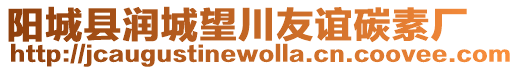 陽城縣潤城望川友誼碳素廠