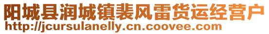 阳城县润城镇裴风雷货运经营户