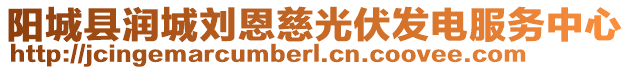 陽城縣潤城劉恩慈光伏發(fā)電服務中心