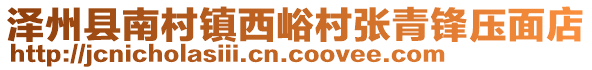 澤州縣南村鎮(zhèn)西峪村張青鋒壓面店