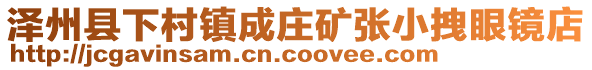 泽州县下村镇成庄矿张小拽眼镜店