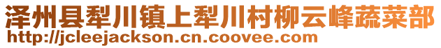 澤州縣犁川鎮(zhèn)上犁川村柳云峰蔬菜部