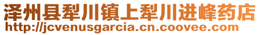 澤州縣犁川鎮(zhèn)上犁川進(jìn)峰藥店