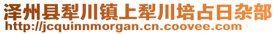 澤州縣犁川鎮(zhèn)上犁川培占日雜部