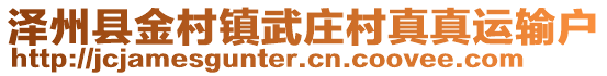 澤州縣金村鎮(zhèn)武莊村真真運(yùn)輸戶