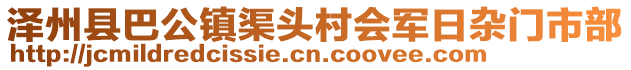 澤州縣巴公鎮渠頭村會軍日雜門市部