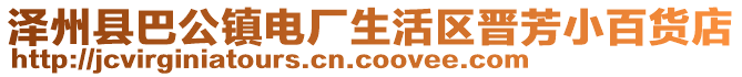 泽州县巴公镇电厂生活区晋芳小百货店