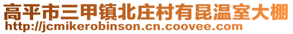 高平市三甲鎮(zhèn)北莊村有昆溫室大棚