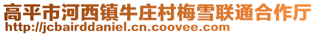 高平市河西鎮(zhèn)牛莊村梅雪聯(lián)通合作廳