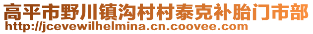 高平市野川鎮(zhèn)溝村村泰克補(bǔ)胎門市部