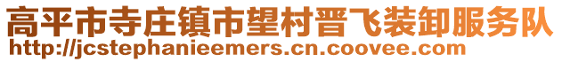 高平市寺莊鎮(zhèn)市望村晉飛裝卸服務(wù)隊(duì)