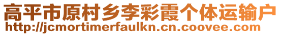 高平市原村鄉(xiāng)李彩霞個體運輸戶