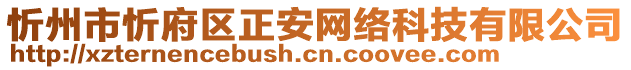 忻州市忻府區(qū)正安網(wǎng)絡(luò)科技有限公司