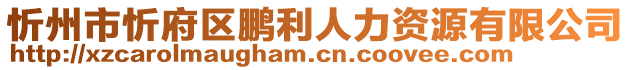 忻州市忻府區(qū)鵬利人力資源有限公司