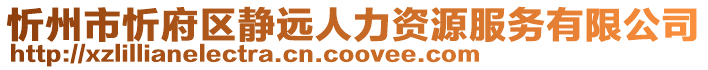 忻州市忻府區(qū)靜遠(yuǎn)人力資源服務(wù)有限公司