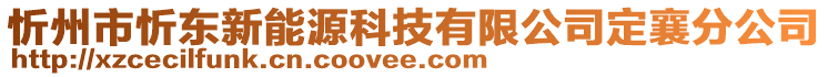 忻州市忻东新能源科技有限公司定襄分公司