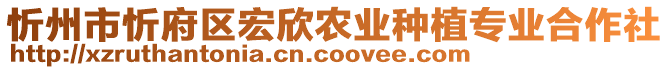 忻州市忻府區(qū)宏欣農(nóng)業(yè)種植專(zhuān)業(yè)合作社