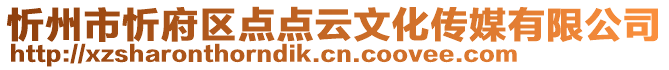 忻州市忻府區(qū)點(diǎn)點(diǎn)云文化傳媒有限公司