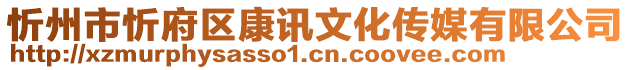 忻州市忻府區(qū)康訊文化傳媒有限公司