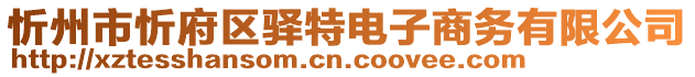 忻州市忻府區(qū)驛特電子商務(wù)有限公司