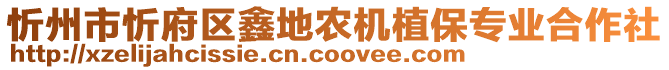 忻州市忻府區(qū)鑫地農(nóng)機植保專業(yè)合作社