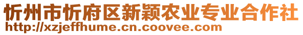 忻州市忻府區(qū)新穎農(nóng)業(yè)專(zhuān)業(yè)合作社