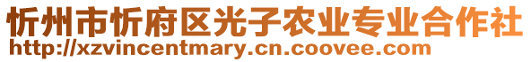 忻州市忻府區(qū)光子農(nóng)業(yè)專業(yè)合作社