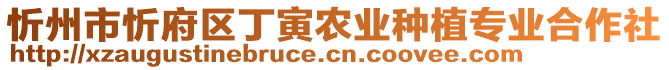 忻州市忻府區(qū)丁寅農(nóng)業(yè)種植專業(yè)合作社