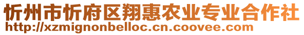 忻州市忻府區(qū)翔惠農(nóng)業(yè)專業(yè)合作社