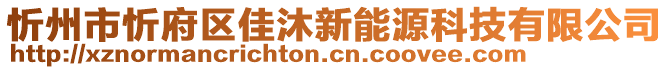 忻州市忻府區(qū)佳沐新能源科技有限公司