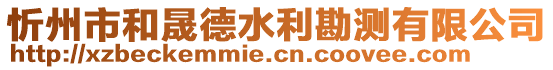 忻州市和晟德水利勘測有限公司