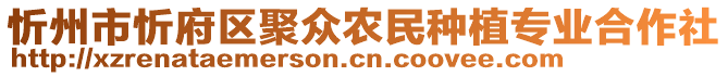 忻州市忻府區(qū)聚眾農(nóng)民種植專業(yè)合作社