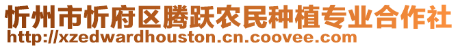 忻州市忻府區(qū)騰躍農民種植專業(yè)合作社