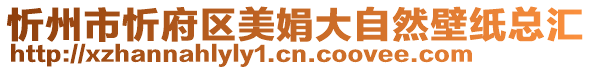 忻州市忻府區(qū)美娟大自然壁紙總匯