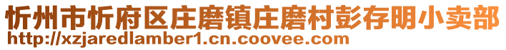 忻州市忻府区庄磨镇庄磨村彭存明小卖部