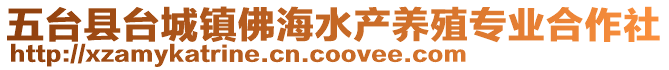 五臺(tái)縣臺(tái)城鎮(zhèn)佛海水產(chǎn)養(yǎng)殖專業(yè)合作社