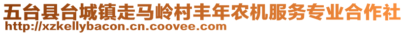 五臺縣臺城鎮(zhèn)走馬嶺村豐年農(nóng)機服務(wù)專業(yè)合作社