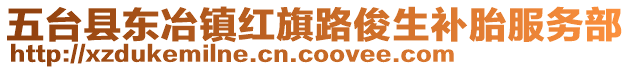 五台县东冶镇红旗路俊生补胎服务部