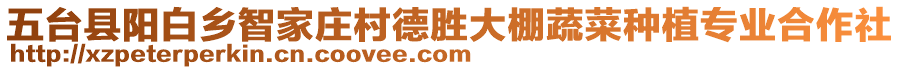 五臺(tái)縣陽(yáng)白鄉(xiāng)智家莊村德勝大棚蔬菜種植專業(yè)合作社