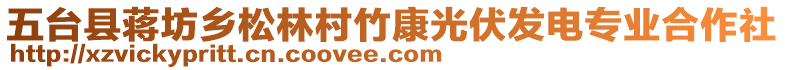 五臺(tái)縣蔣坊鄉(xiāng)松林村竹康光伏發(fā)電專(zhuān)業(yè)合作社