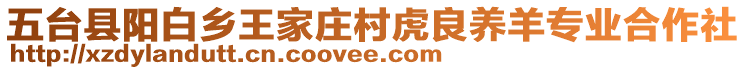 五台县阳白乡王家庄村虎良养羊专业合作社